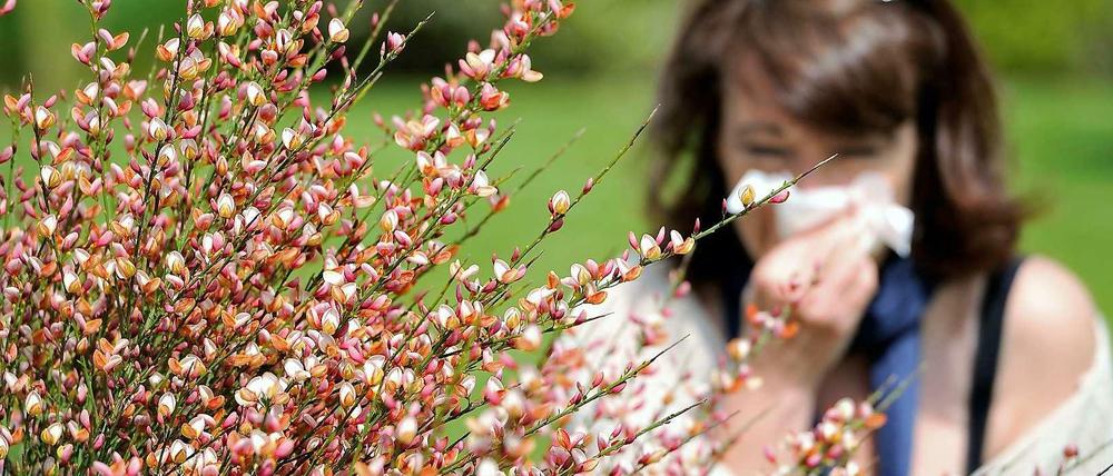 Zum Heulen: Vor allem Mehrfach-Allergiker litten in diesem Frühjahr unter Triefnase und verquollenen Augen, weil viele problematische Pflanzen gleichzeitig blühten.