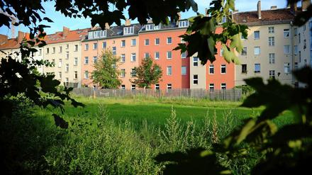 Ein fast vergessener Ort. Grün und Gärten an den Häuserzeilen zwischen Brunnen- und Schwedter Straße sollen weg. Das Land Berlin benötigt das Areal als Mauergedenkort – von ein paar Neubauten einmal abgesehen.