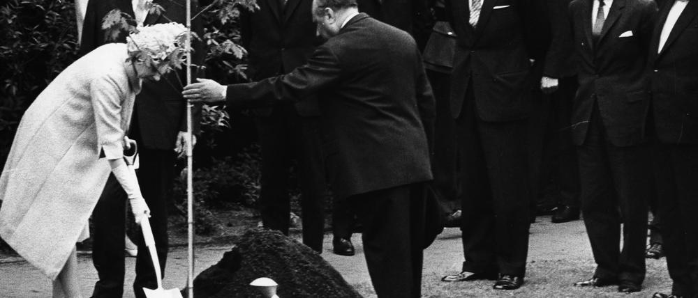 Königliche Gartenarbeit. Drei Schaufeln Erde schippte Elizabeth II. am 27. Mai 1965 ins Pflanzloch.