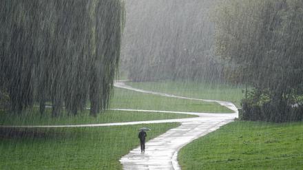 Von solchem Regen träumen Naturfreunde. In Berlin fehlt noch mehr als die Hälfte des üblichen Niederschlages.