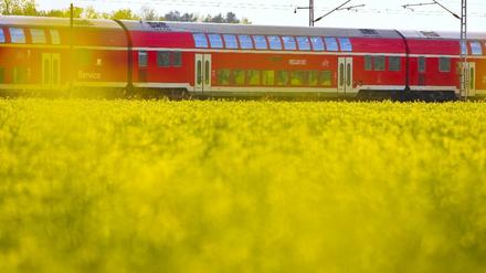 Mit den Regionalzügen pendeln zehntausende Brandenburger täglich nach Berlin