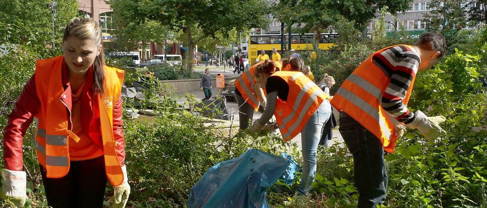 Rund um den Olof-Palme-Platz haben sich Freiwillige im Rahmen der "Sauberen Sache" um die wild wuchernden Pflanzen gekümmert.