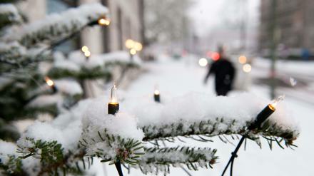 Schnee liegt in Berlin auf einem geschmückten Weihnachtsbaum. Die Hoffnung auf eine gepuderte Hauptstadt könnte dieses Jahr erfüllt werden.