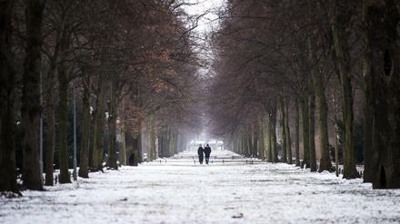 Eine Frau und ein Mann spazieren am 07.01.2017 durch den mit Neuschnee bedeckten Großen Tiergarten in Berlin.