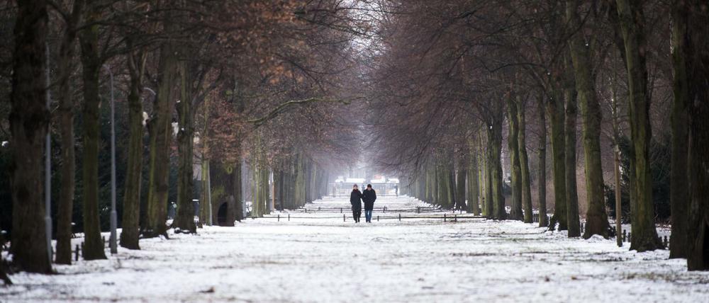Eine Frau und ein Mann spazieren am 07.01.2017 durch den mit Neuschnee bedeckten Großen Tiergarten in Berlin.