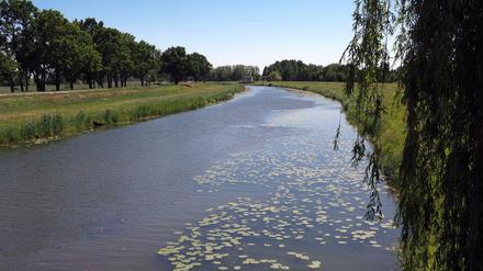 Die Schwarze Elster fließt durch den Kreis Elbe-Elster, die zu den Regionen mit akutem Wassermangel gehört. 