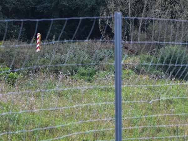Schutzzaun: Der Zaun an der polnischen Grenze soll verhindern, dass Wildschweine aus Polen nach Deutschland kommen.