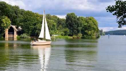 Ein Segelboot passiert die Pfaueninsel auf der Havel.