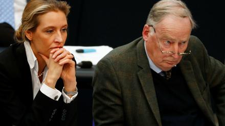 Alexander Gauland und Alice Weidel, Chefs der AfD-Bundestagsfraktion 