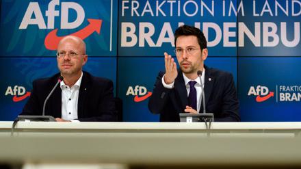 Andreas Kalbitz (l) und Dennis Hohloch (M) während einer Pressekonferenz.