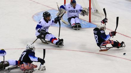 Sledge-Eishockey: Team Südkorea gegen die USA hier bei den Paralympics in Südkorea.