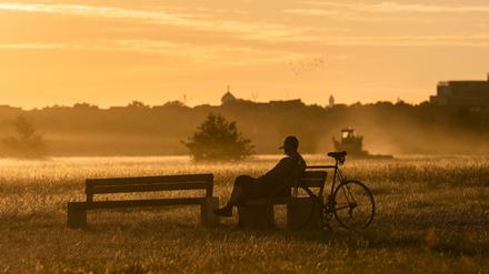 Ein Mann genießt auf dem Tempelhofer Feld die Morgenstimmung im Licht der aufgehenden Sonne. 