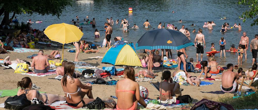 Bei hochsommerlichen Temperaturen genießen viele Leute das sonnige Wetter am Tegeler See in Berlin. 
