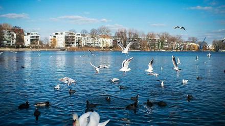 Berlin und Brandenburg sollen an diesem Wochenende frühlingshaft warm werden. Das Bild zeigt das Spreeufer im Treptower Park.