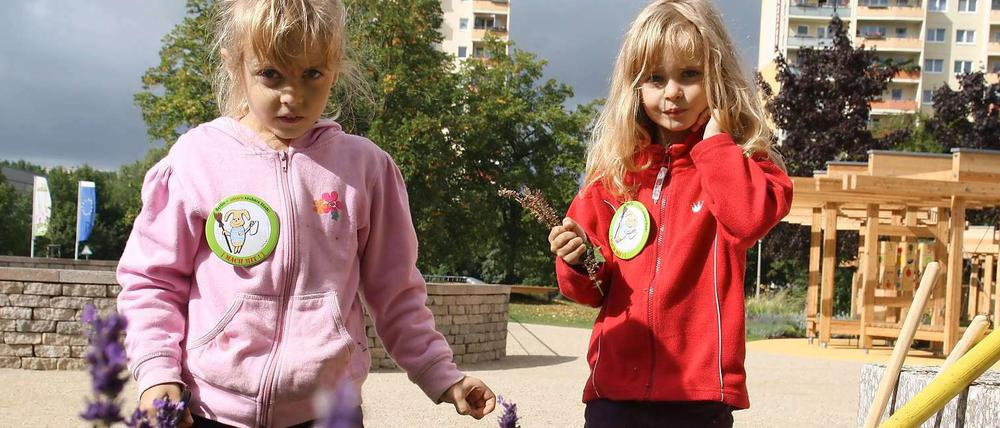 Die Zwillinge Paula und Pia zupfen Unkraut aus dem Lavendel und helfen, den Kiezpark an der Schwarzburger Straße in Marzahn sauber zu halten.