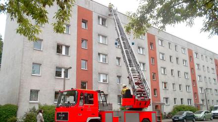 Ungewöhnlicher Einsatz: Hier rettet die Feuerwehr in Karlshorst mehr als hundert eingeschlossene Jung-Sperlinge und brütende Mauersegler. 