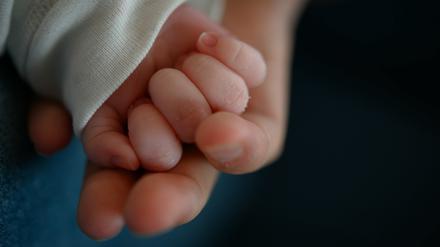Die Hand eines zwei Wochen alten Säuglings liegt in der Hand einer Frau (Symbolbild).