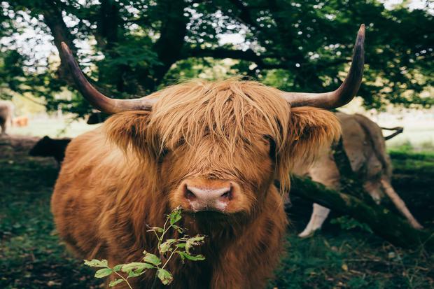 GravelbikeTour im Norden Berlins Entschleunigung auf Sand und Schotter