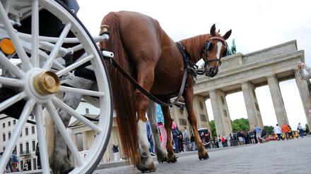 Touristen dürfen weiterhin am Brandenburger Tor in die beliebten Kutschen einsteigen.