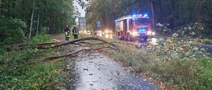 Brandenburg, Friesack: Einsatzkräfte der Feuerwehr stehen an einem umgestürzten Baum. Das Sturmtief «Mortimer» sorgt für Sturmböen und Starkregen.