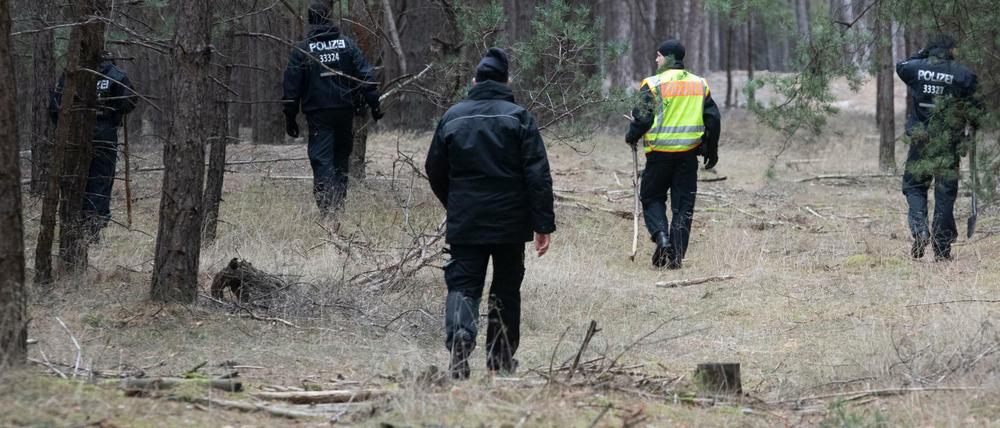 Polizisten durchsuchen ein Waldstück im Landkreis Oder Spree auf der Suche nach Rebecca. 