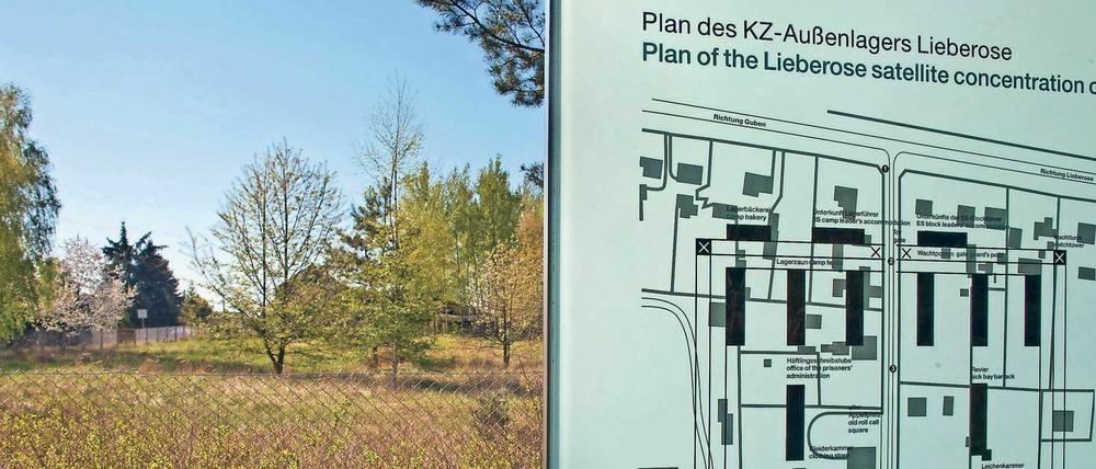 Ein Schild mit dem Lageplan des ehemaligen KZ-Außenlagers Lieberose im brandenburgischen Jamlitz (Dahme-Spreewald).