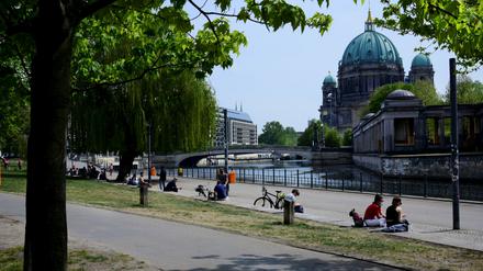 Immer wieder kommt es zu gewalttätigen Auseinandersetzungen im James-Simon-Park in Berlin-Mitte.