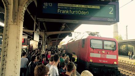 Vorsicht an der Bahnsteigkante. In Werder (Havel) sind nicht nur die Züge voll.