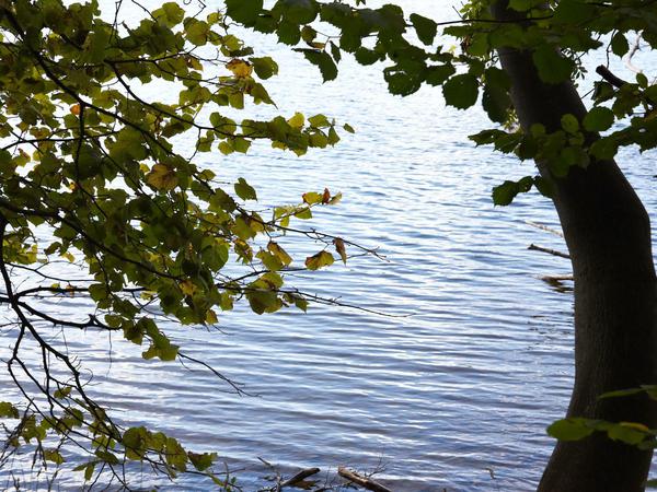Das große Glück am See: Der Park, der einst zum Besitz des Knesebecks gehörte, liegt direkt am See und soll mit Hilfe eines Förderverein wieder allmählich in den historischen Zustand versetzt werden.