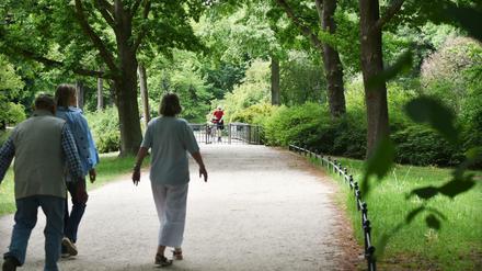 Durch den Tiergarten soll bald ein geteilter Weg für Radfahrer und Fußgänger führen.