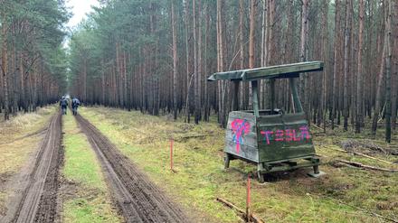 Das 300 Hektar große Waldstück in Grünheide. Hier soll bald die Tesla-Fabrik stehen.