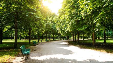 Prächtige Fläche: Der Berliner Tiergarten im Sommer.