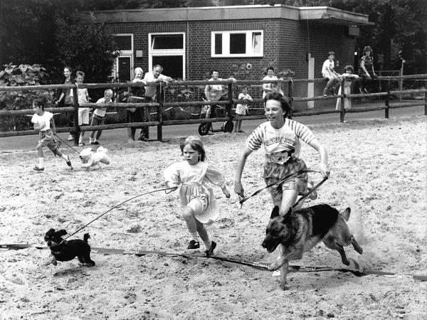 Wettrennen im Tierheim Lankwitz, frühe Sechziger Jahre.