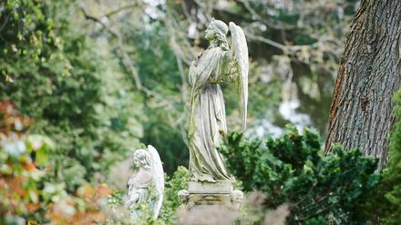 Zwei Engel stehen als Grabzierde auf einem Friedhof in Berlin.