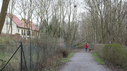 Der Uferweg in Groß Glienicke ist von Anwohnern teils gesperrt. Das soll sich ändern – zumindest für Fußgänger. 