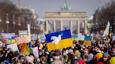 Hunderttausende demonstrierte Ende Februar in der Berliner Innenstadt.