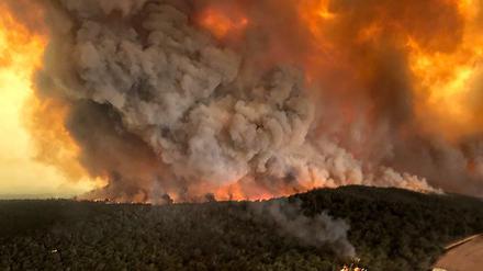 Dichte Rauchwolken steigen über einem australischen Wald auf, in dem ein Wildfeuer wütet.
