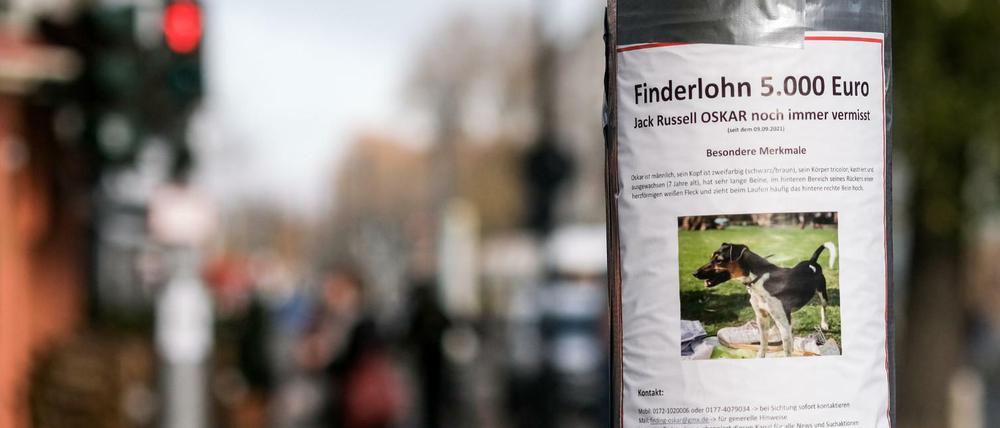 Auf einem Zettel in Prenzlauer Berg wird mit einem Finderlohn nach dem vermissten Hund gesucht.