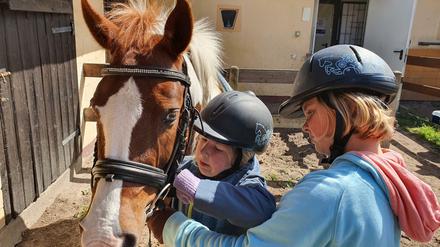 Ponyführen, Reitvorführungen, Pferdetraining - oder einfach mal streicheln: Auch der Pferdesportverein Töplitz in Leest bei Potsdam nimmt an der Landpartie teil.