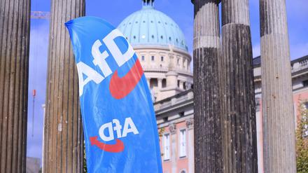 Vor dem Brandenburger Landtag in Potsdam steht eine Fahne der AfD - wegen eines Wahlkampftermins.
