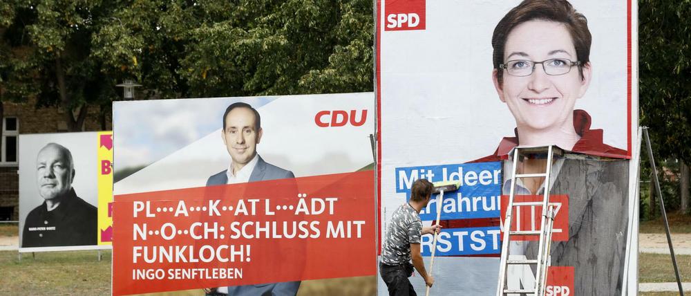 Wahlplakate zur Landtagswahl in Brandenburg.