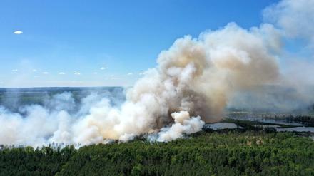Brandenburg: Bei Hohenleipisch brennt der Wald im Loben-Moor