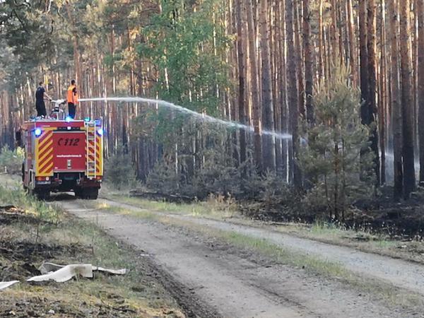 Feuerwehrleute löschen Glutnester in dem Wald bei Jüterbog. 