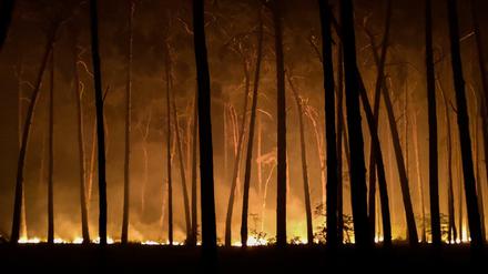 Im Frühjahr dieses Jahres hatten Brandenburgs Landkreise die Waldbrandgefahrenstufe noch hochgestuft.