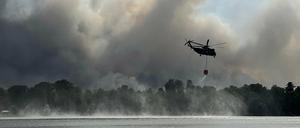 Ein Löschhubschrauber ist wegen des Waldbrandes bei Treuenbrietzen im Einsatz und hat Wasser am Seddiner See getankt. 