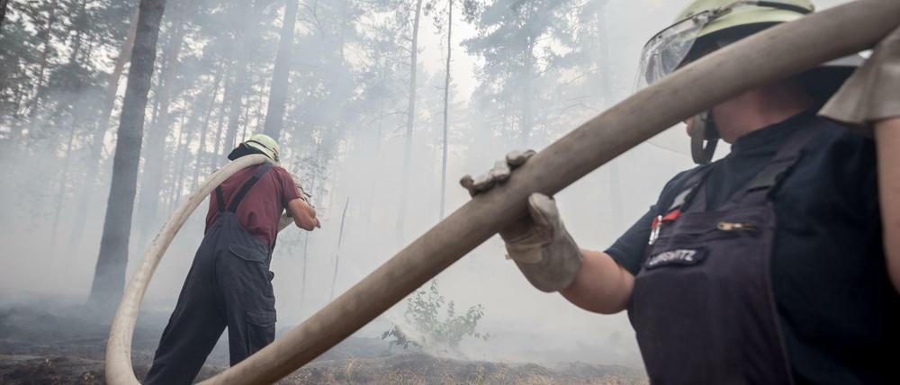Feuerwehrmänner bekämpfen einen Waldbrand bei Treuenbrietzen.