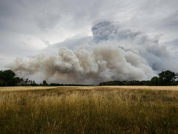 In der Gohrischheide an der Landesgrenze zu Brandenburg bekämpft die Feuerwehr einen großen Waldbrand.