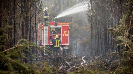 Die Waldbrandgefahr in Brandenburg ist wieder hoch. Das Foto zeigt einen Feuerwehreinsatz im August 2018 bei Treuenbrietzen. 