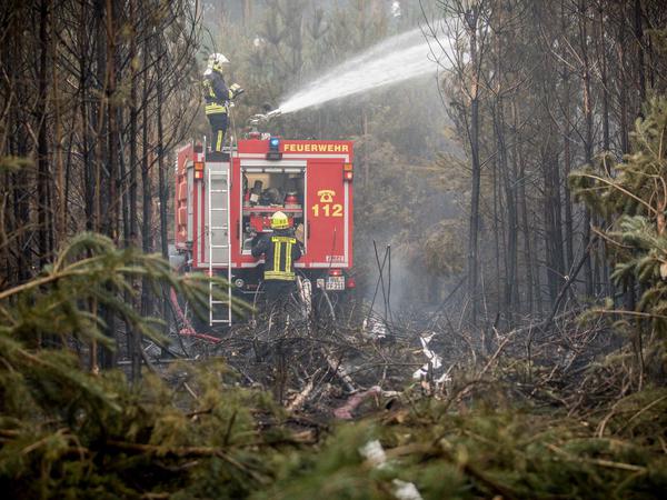 Nicht nur die Flammen können den Feuerwehrmännern in Brandenburg zu schaffen machen. In Treuenbrietzen und Niemegk bekamen sie es in diesem Sommer mit den giftigen Brennhaaren einer kleinen Raupe zu tun.