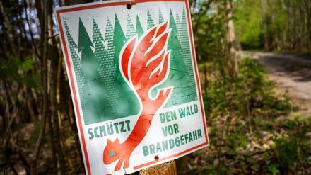 Vereinzelt auftretende Schauer und Gewitter sind laut dem Deutschen Wetterdienst nicht in der Lage, die Trockenheit und hohe Waldbrandgefahr in der Region zu lindern.